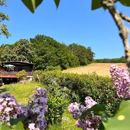 Ferienhaus Zittertal Neustadt Harz Haus I Villa Harztor Екстериор снимка
