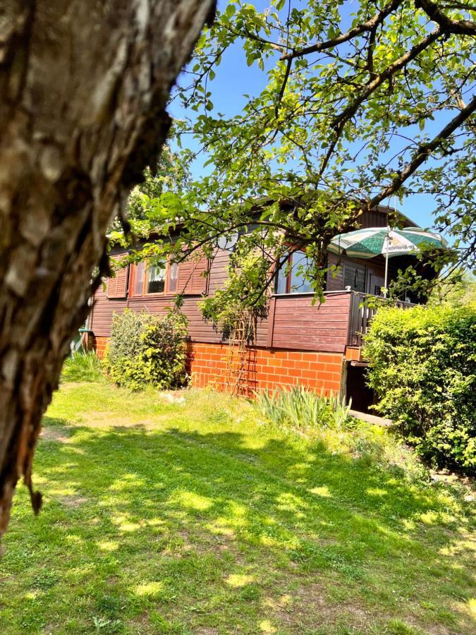 Ferienhaus Zittertal Neustadt Harz Haus I Villa Harztor Екстериор снимка