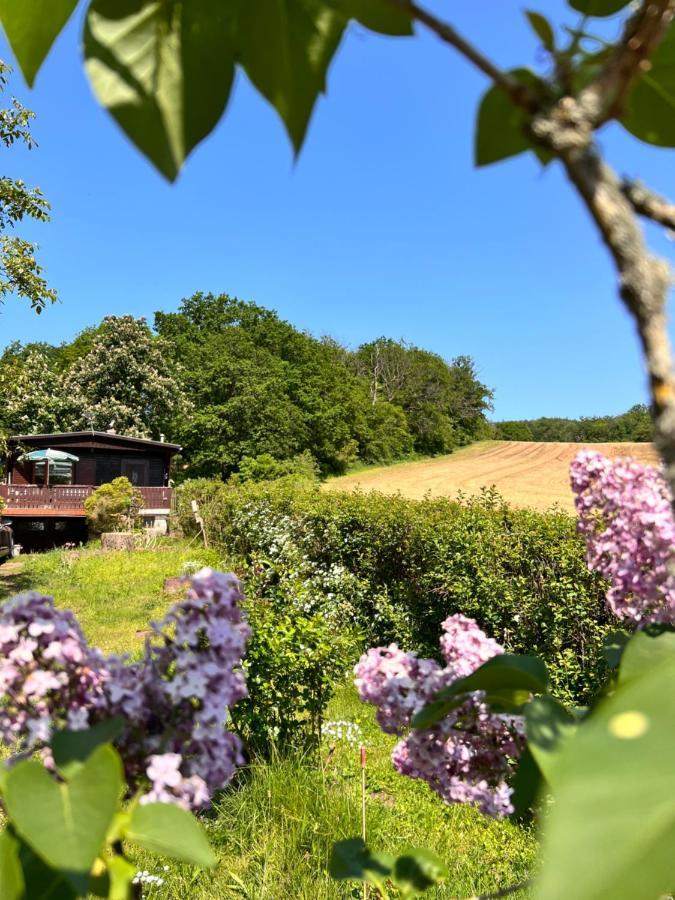 Ferienhaus Zittertal Neustadt Harz Haus I Villa Harztor Екстериор снимка